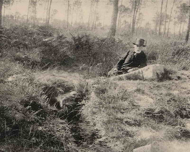 bellamy_barenton_2.jpg
